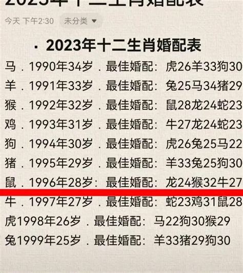 96 生肖|1996年属什么生肖？属鼠人的命运解析